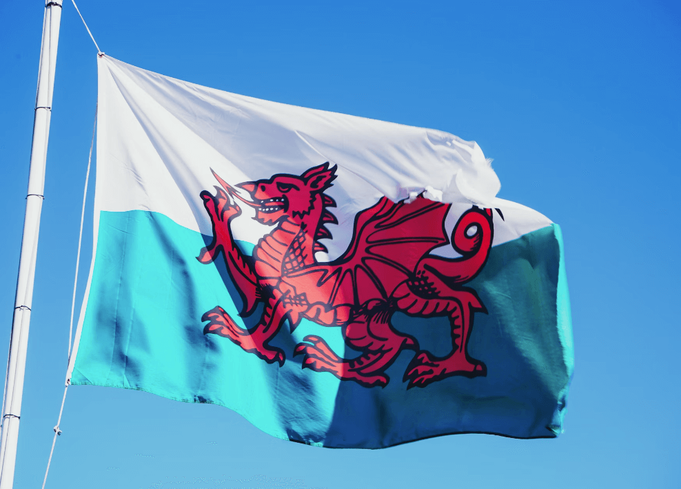 CEO Insights: A week is a long time in Welsh Politics