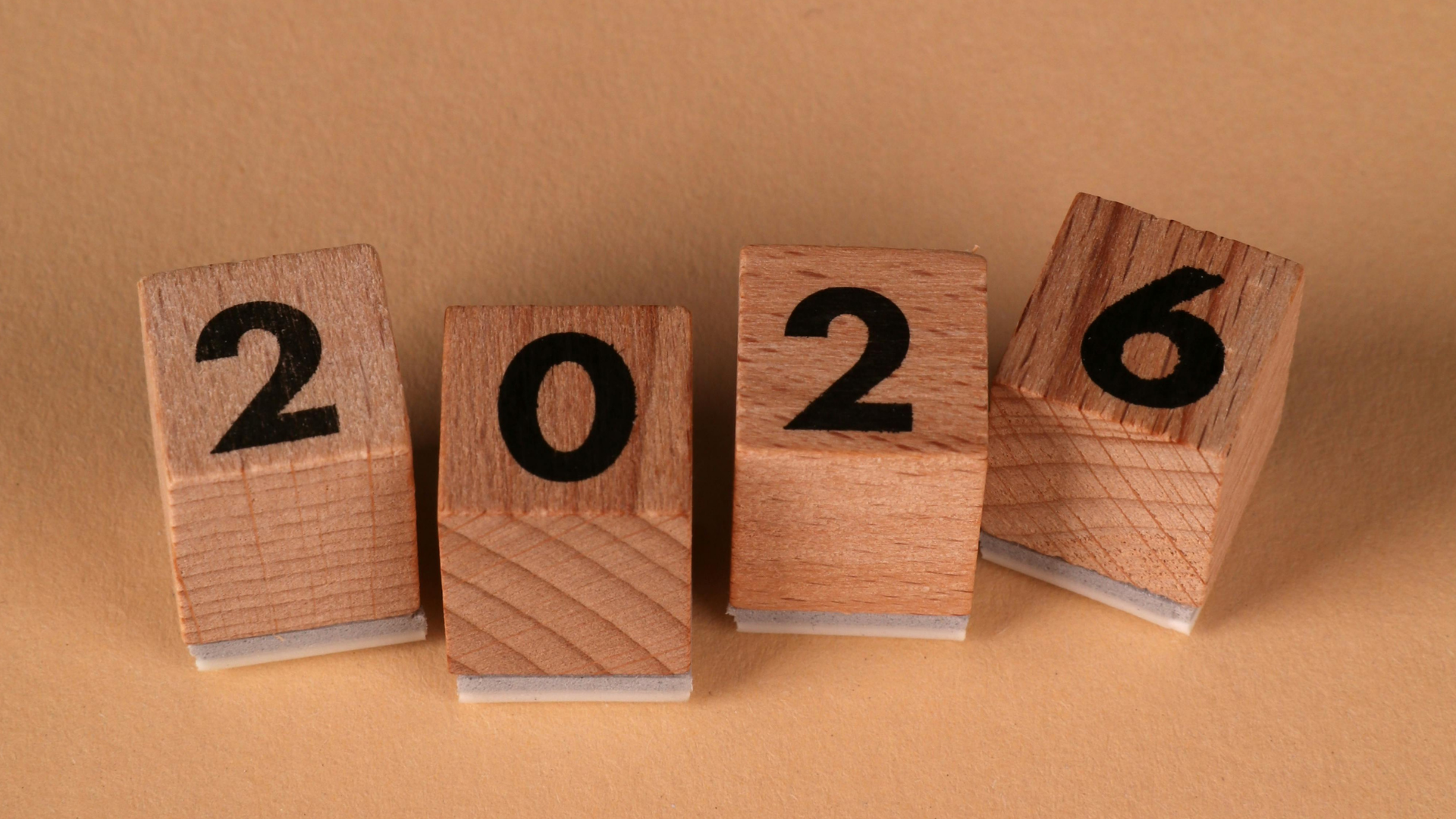 CEO Insights: Looking Ahead to 2026