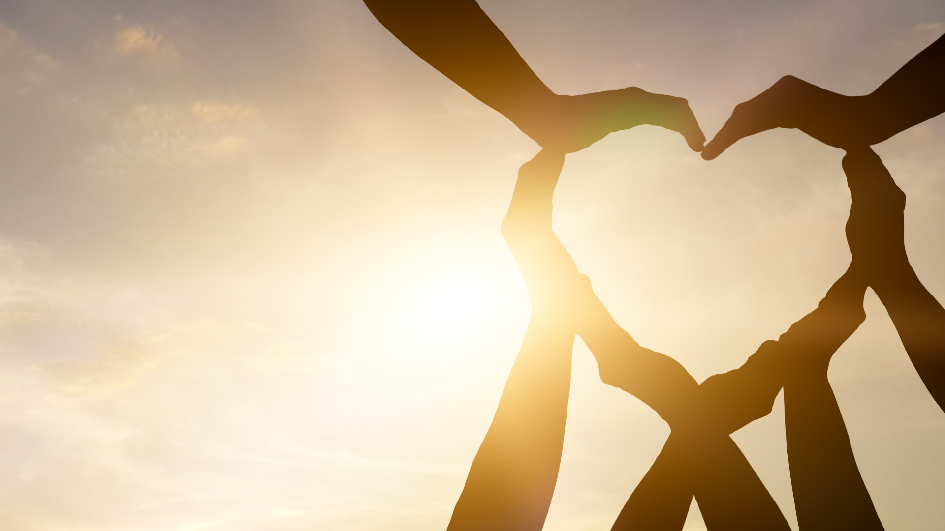 Preparing Accounts <br> and Trustees’ Reports Under <br>the New Charity SORP